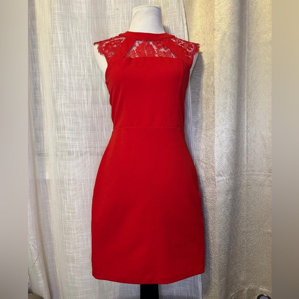 Express Laced Dress